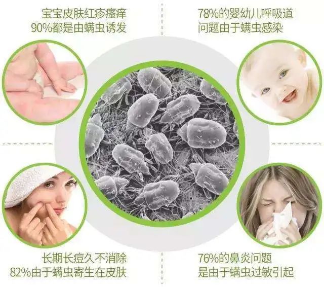 被子不方便曬怎么除螨？曬被子需要曬兩面嗎？